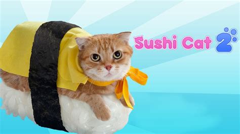 sushi cat  youtube
