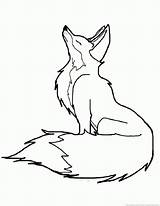 Foxes Howling Foxs Coloringhome sketch template