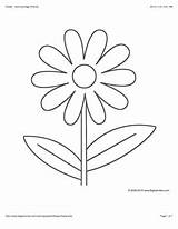 Coloring Flower Bigactivities Pages sketch template