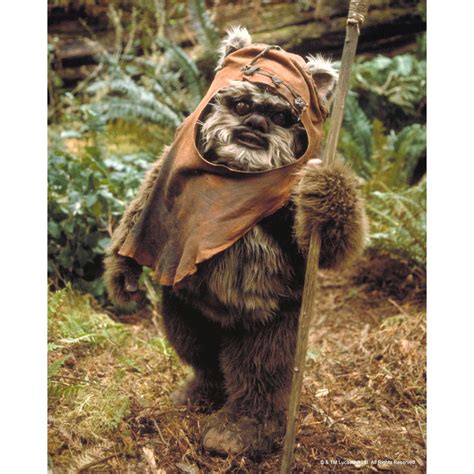 wicket  ewok  photo signed  warwick davis  signature shop