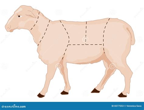 sheep chart stock  image