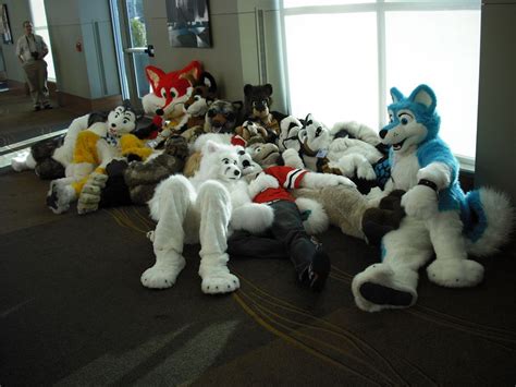 furpile wikifur the furry encyclopedia