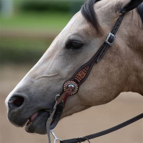 pijnsignalen bij je paard  pijn herkennen paard blog