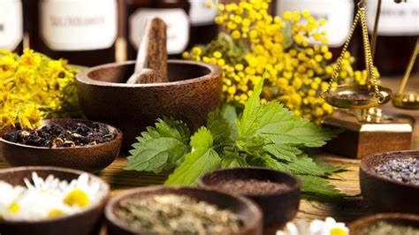 top  ayurvedic herbs   benefits youveda