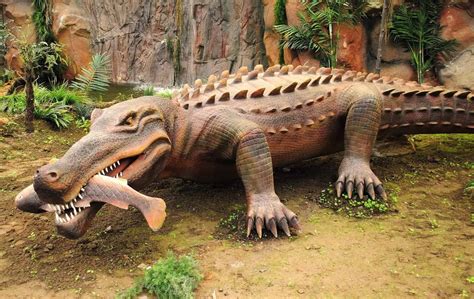 top  largest crocodiles    animals