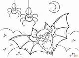 Halloween Coloring Pages Spider Printable Spiders sketch template