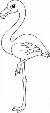 Flamingo Coloring Pages Template Templates sketch template