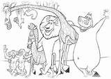 Madagascar Gloria Ausmalbilder Malvorlagentv Freecoloringpages Cartoon sketch template