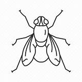 Fly House Insect Icon Flying Horse Common Insects 512px sketch template