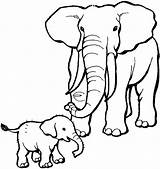 Elephant Baby Kids Atozkidsstuff Color Mother sketch template