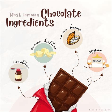 complete guide   ingredients  chocolate dame cacao