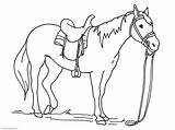Horse Trailer Coloring Pages Getdrawings Drawing sketch template