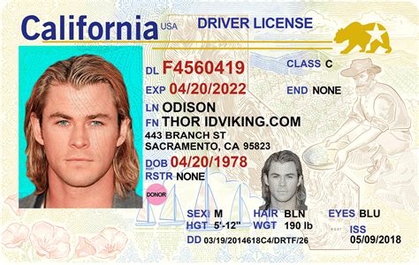 california interim driver license macroasl