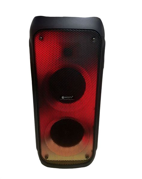 nesty lf242 portable karaoke 100watt speaker buy online in south