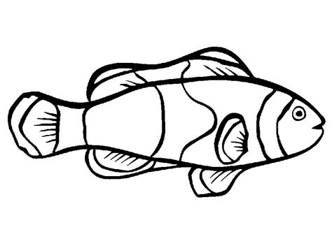 realistic tropical fish coloring pages  clipart