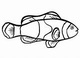 Fish Outline Children Library Clipart Colouring Template Kids sketch template