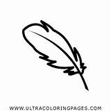 Feder Pluma Plumas Ultracoloringpages Quill Página sketch template