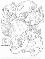 Coloring Pages Endangered Animals Adults Sheets Animal Grown Ups Cleverpedia Library Choose Board sketch template