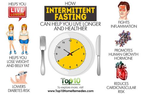 intermittent fasting     longer  healthier top