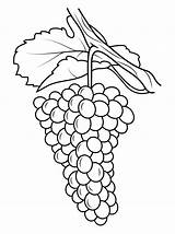 Coloring Grapes Template sketch template