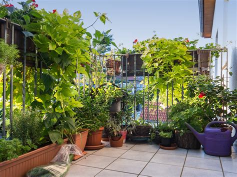 der balkon mit privatsphaere sichtschutz mit pflanzen balkoncom