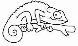 Chameleon Coloring Pages Draw Color Searches Worksheet Recent Kids sketch template