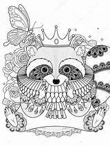 Adult Coloring Pages Raccoon Racoon Template sketch template