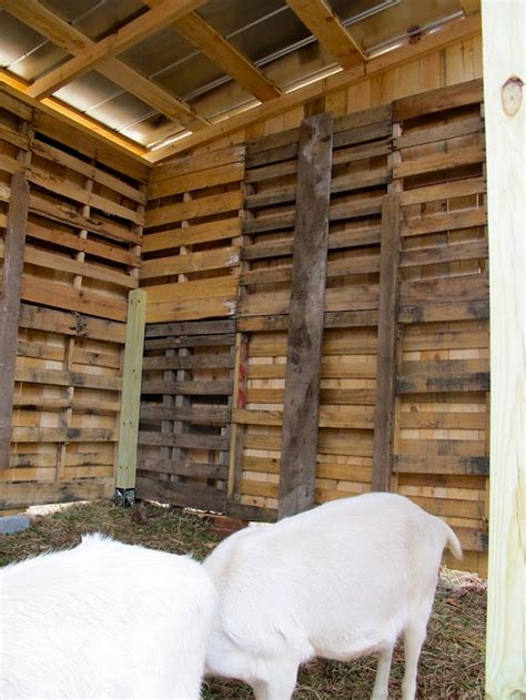 diy project goat pallet barn home design garden