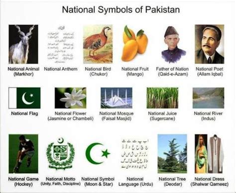 List Of Pakistan National Symbols Muhammad Khurram Aslam