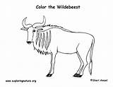 Wildebeest Sponsors Wonderful sketch template