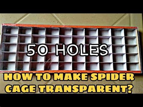 spider cage transparent youtube