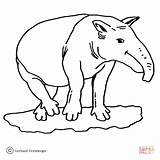 Coloring Pages Nessie Ant Eater Giant Printable Supercoloring Anteater Tapir Ausmalen Zum Silhouettes Categories sketch template