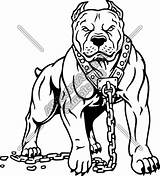 Pitbull Angry Bully Pitbulls Bulldog Tatuagens Gangue Mascot Webstockreview sketch template