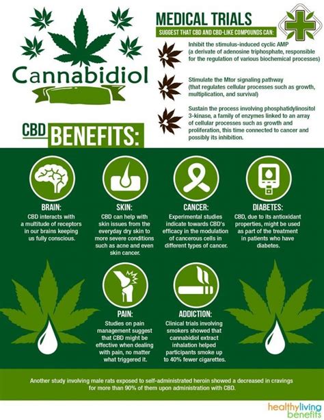 cbd oil benefits explained infographic 884×1144 healthy living benefits