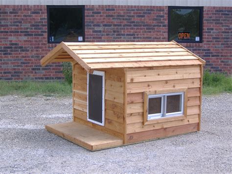 diy dog houses dog house plans aussiedoodle