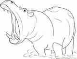 Coloring Mouth Hippopotamus Open Drawing Pages Pic Coloringpages101 Color Online Getdrawings sketch template