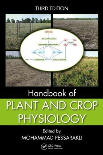 handbook of plant and crop physiology third edition avaxhome