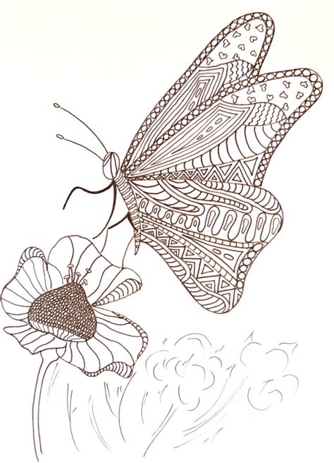 hungry butterfly adult coloring page allfreepapercraftscom