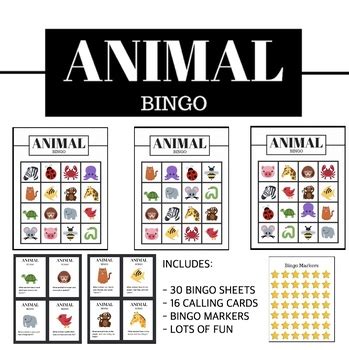 animal bingo  sheets calling cards science activity tpt