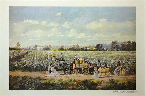 working  cotton field plantation