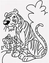 Tiger Cartoon Coloring Pages Drawing Library Clipart Body sketch template