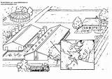 Coloring Farm Pig Breeding Pages sketch template