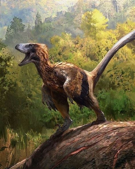 pyroraptor  jonathan kuo follow  atsallydinosaurs