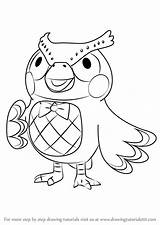 Crossing Animal Blathers Drawing Step Draw Coloring Pages Drawings Tutorials Drawingtutorials101 Isabelle Animals sketch template