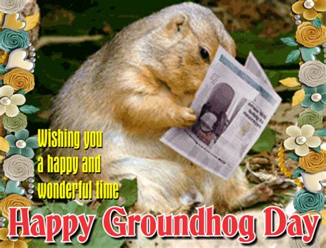 groundhog day ecard  groundhog day ecards greeting cards
