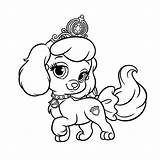 Kleurplaat Kleurplaten Honden Schattige Hond Makkelijk Disney Prinses Tekenen Leuk Kleuren Beste sketch template