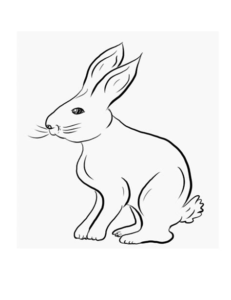 printable rabbit coloring pages  kids