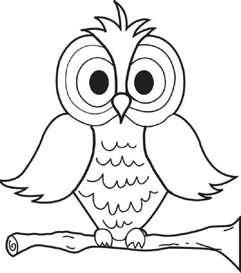 pin  darla dickerson  preschool owl coloring pages bird coloring