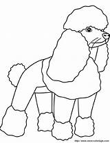 Poodle Pudel Barboncino Caniche Colorare Cani Disegno Ausmalbilder Hund Ausmalbild Perros Colorear2000 sketch template