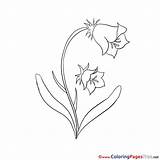 Coloring Bluebell Flower Pages Sheets Sheet Title Coloringpagesfree sketch template